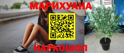 ПСИЛОЦИБИНОВЫЕ ГРИБЫ Шебекино