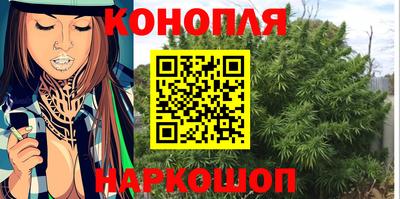 прущие крисы Шахты