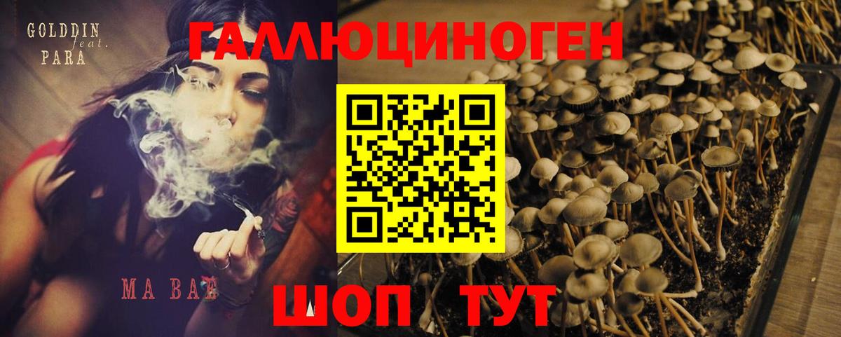 Псилоцибиновые грибы MAGIC MUSHROOMS  Вход с VPN  Ангарск  Галлюциногенные грибы Cubensis 